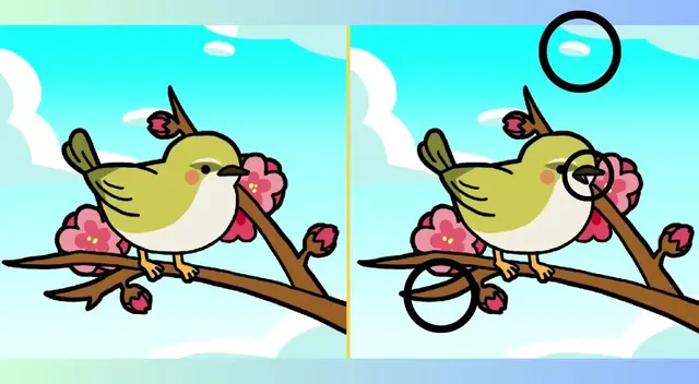 reto visual reto visual