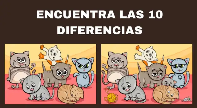 Encuentra las diferencias entre los dos grupos de gatitos. Encuentra las diferencias entre los dos grupos de gatitos.