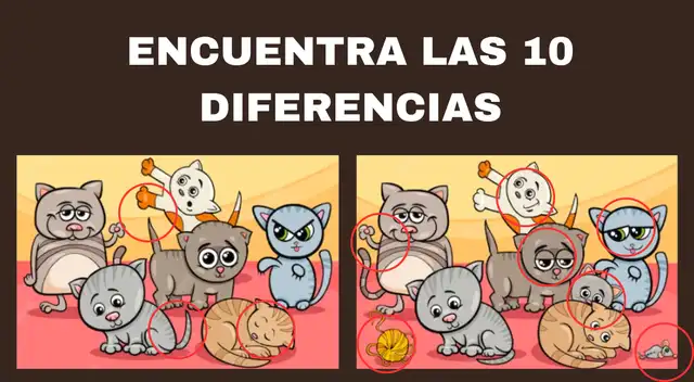 Reto visual. Reto visual.