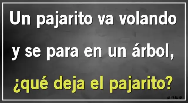 El nuevo acertijo mental de Líbero cuenta con grado de complejidad muy alto.
