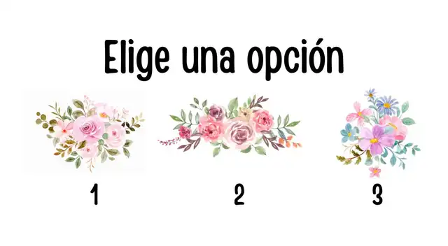 Elige uno de los ramos y sorpréndete con los resultados.