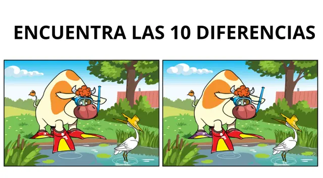 Tienes que tener una vista de halcón para dar con las diferencias. Tienes que tener una vista de halcón para dar con las diferencias.