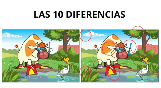 Reto visual. Reto visual.