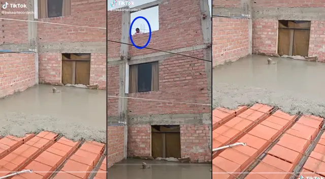 El joven finalmente levantó su techo, pero su vecino se llevó la peor parte. El joven finalmente levantó su techo, pero su vecino se llevó la peor parte.