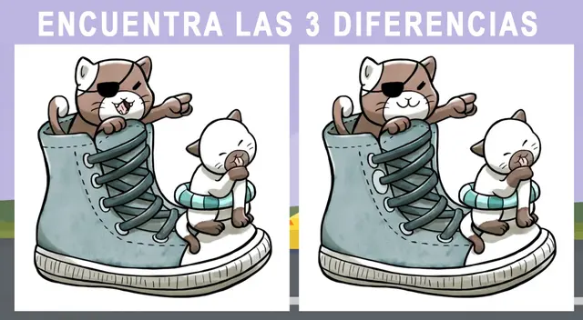 Reto visual de gatitos creado para mentes brillantes. Reto visual de gatitos creado para mentes brillantes.