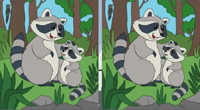 Para resolver este nuevo reto visual debes seguir las pistas que te brinda la imagen. Para resolver este nuevo reto visual debes seguir las pistas que te brinda la imagen.