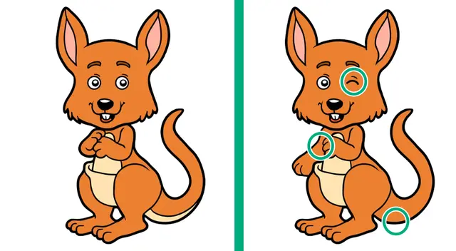 reto visual reto visual