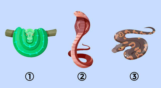 La serpiente que más te guste del test de personalidad podrá revelarte si eres vengativo o no.