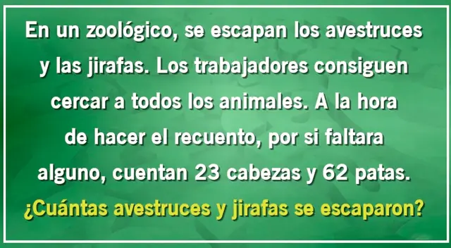 Pon tu máxima concentración y demuestra tus capacidades para descubrir la respuesta del acertijo visual. Pon tu máxima concentración y demuestra tus capacidades para descubrir la respuesta del acertijo visual.