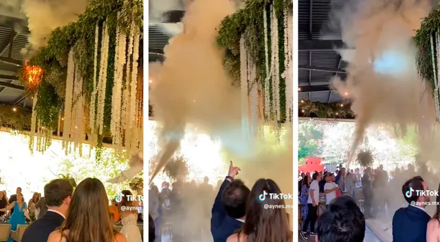 A pesar de las llamas entre las flores, la fiesta de matrimonio continuó como si nada hubiera pasado. A pesar de las llamas entre las flores, la fiesta de matrimonio continuó como si nada hubiera pasado.