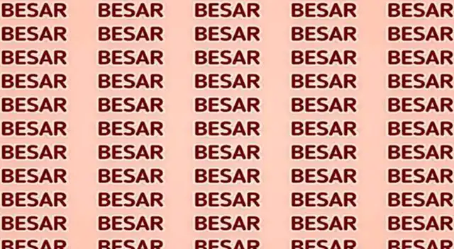 Si tienes una vista de halcón hallarás la palabra PENSAR.