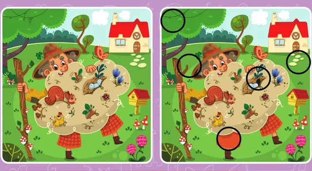 retos visuales retos visuales