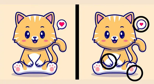 reto visual reto visual