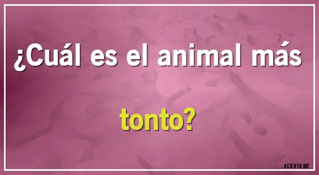 Demuestra que eres un verdadero genio y logra vencer este complicado desafío mental. Demuestra que eres un verdadero genio y logra vencer este complicado desafío mental.
