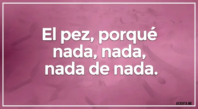 acertijo visual acertijo visual