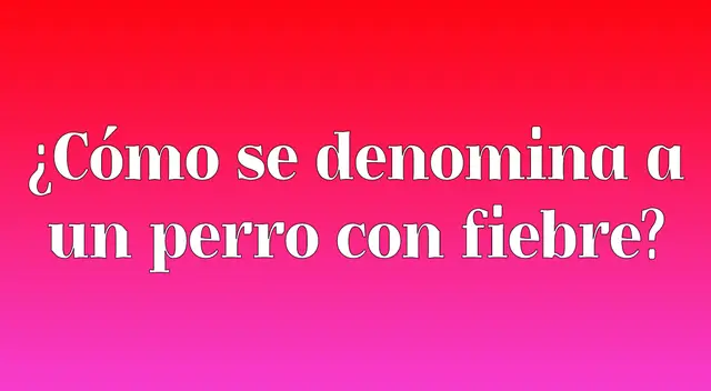 Resuelve este divertido acertijo visual y demuestra que tienes una mente BRILLANTE Resuelve este divertido acertijo visual y demuestra que tienes una mente BRILLANTE