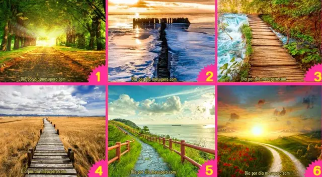 Elige un camino y te revelaremos qué buscas de la vida. Elige un camino y te revelaremos qué buscas de la vida.