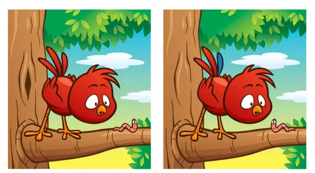 Debes utilizar todo tu intelecto y tu vista para lograr la respuesta. Debes utilizar todo tu intelecto y tu vista para lograr la respuesta.