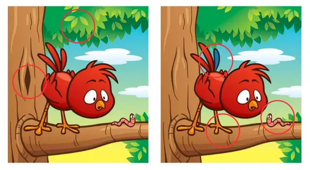 Retos visuales Retos visuales