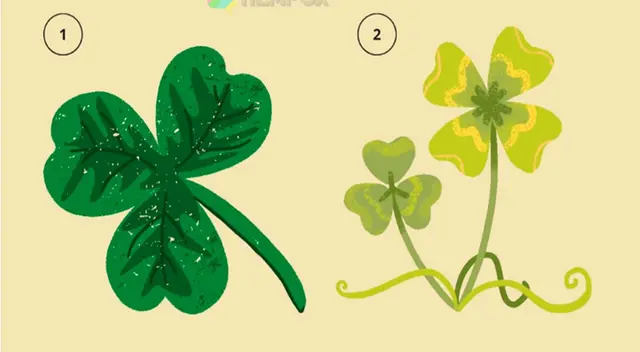 Descubre si eres una persona con suerte con este divertido test visual.