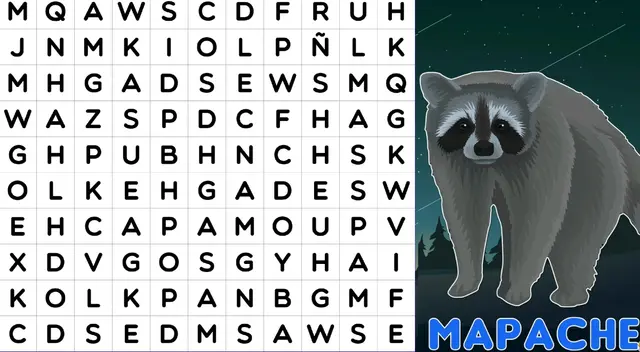 El reto mental del mapache viral en redes sociales