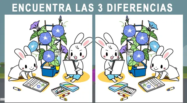 Reto visual de conejos creado para mentes brillantes. Reto visual de conejos creado para mentes brillantes.