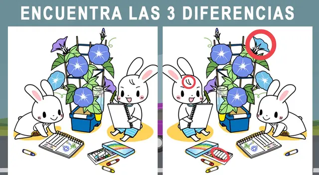 reto visual reto visual