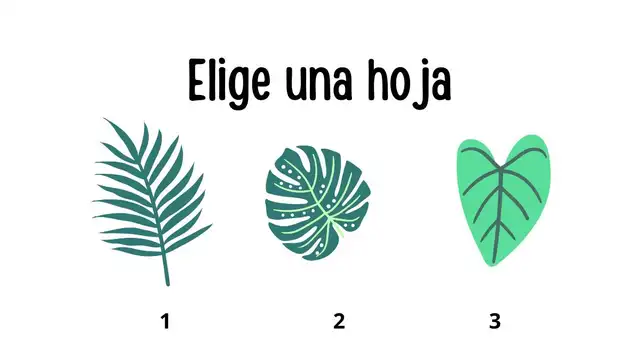 Elige la opción que más te llame la atención. Elige la opción que más te llame la atención.