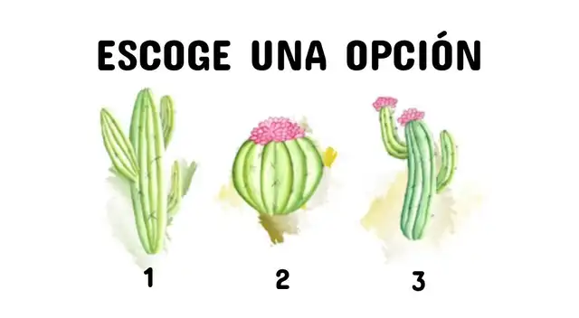 Desarrolla el test de personalidad y conoce más de ti en segundos.