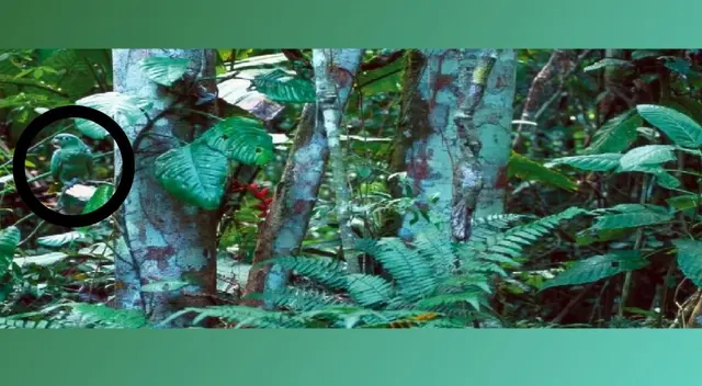 reto visual reto visual