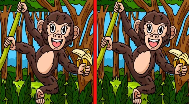 Solo tienes 7 segundos para encontrar las 3 diferencias en este reto. Solo tienes 7 segundos para encontrar las 3 diferencias en este reto.