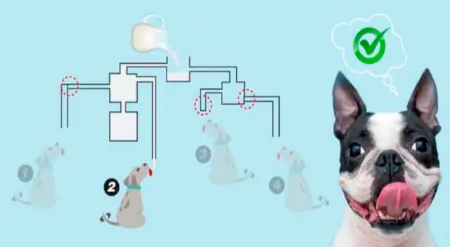 solución acertijo visual