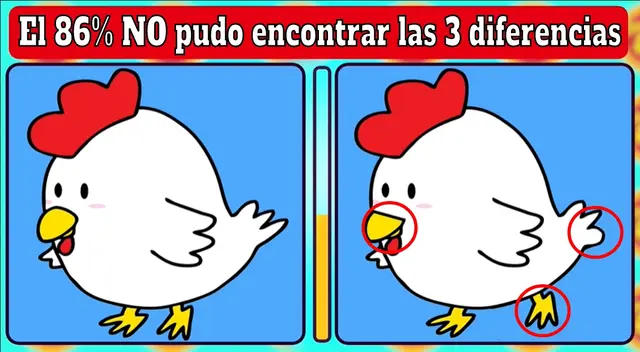 retos visuales