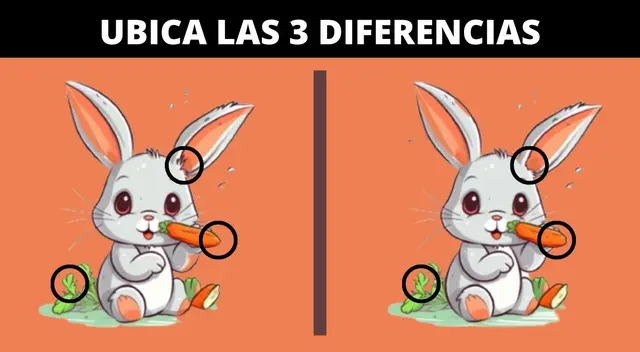 reto visual reto visual