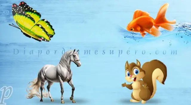 Elige un animal 'mágico' y te diremos qué te preocupa.