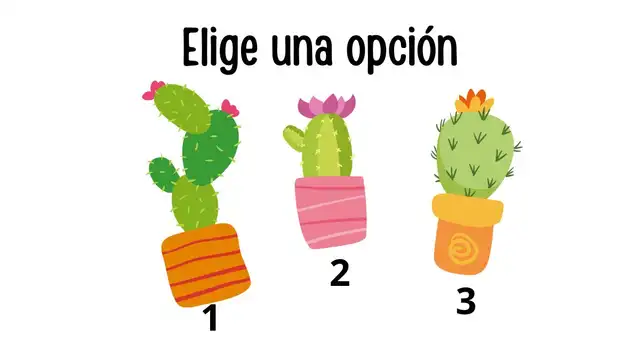 Sé lo más sincero posible para que los resultados no sean alterados. Sé lo más sincero posible para que los resultados no sean alterados.