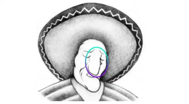 Reto visual del rostro de una mujer. Reto visual del rostro de una mujer.