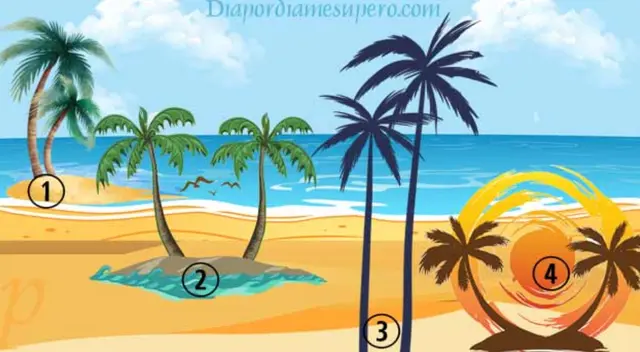 Elige una palmera y descubre lo mucho que has crecido como persona.