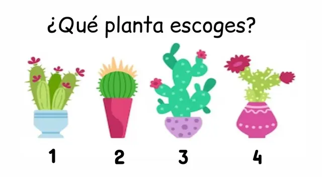 Una de las plantas del test de personalidad te brindará información importante sobre ti. Una de las plantas del test de personalidad te brindará información importante sobre ti.