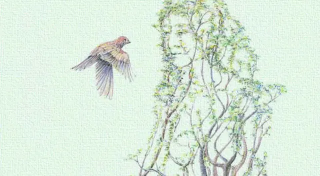 Con lo primero que veas, sabrás que atrae de ti a los demás.