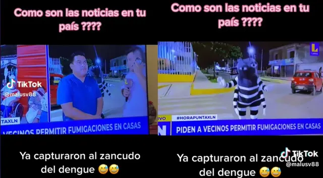 Se disfrazó de zancudo para alertar sobre el dengue