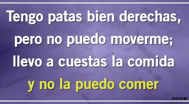 Adivina la adivinanza y demuestra que eres un CRACK Adivina la adivinanza y demuestra que eres un CRACK