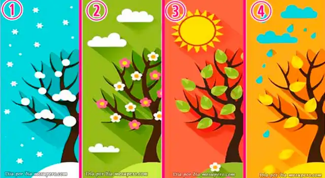 Según tu elección en este test visual, descubrirás los rasgos que ocultas de tu forma de ser.