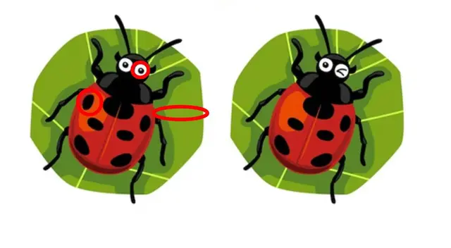 reto visual reto visual