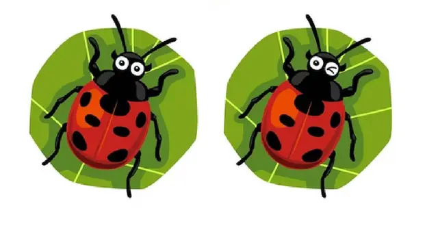 ¿Cuáles son las 3 diferencias del reto? Encuéntralas en solo 5 segundos ¿Cuáles son las 3 diferencias del reto? Encuéntralas en solo 5 segundos