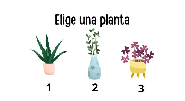 Sé lo más sincera con tu elección para que los resultados no sean alterados.