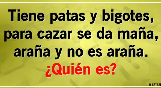 Acertijo visual que el 95% fallo Acertijo visual que el 95% fallo