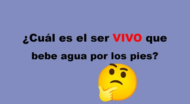 acertijo visual