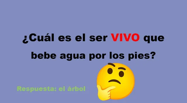 acertijo visual