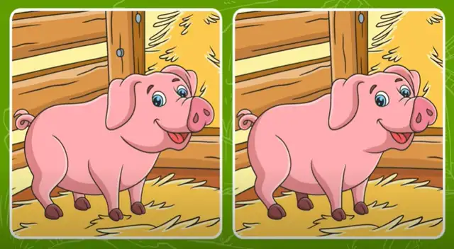 Solo las mentes brillantes pudieron resolver el reto visual extremo